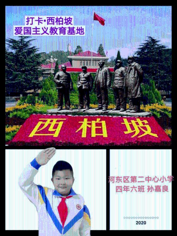 救援受困的火鸡
